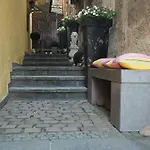 明镜哈尔尼酒店 林道