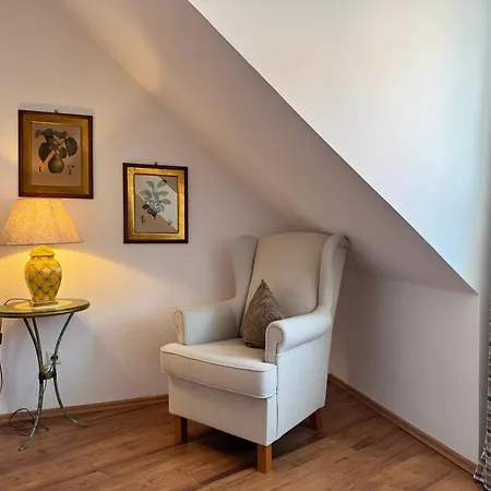 Spiegel Garni 3*