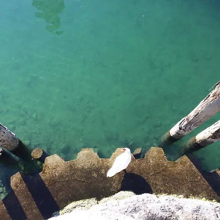 Spiegel Garni Lindau (Bodensee)